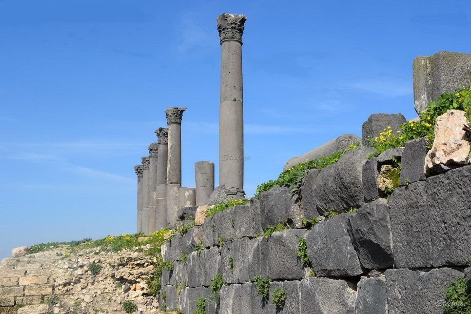 gadara umm qais trip photo28 20170420 1290049225