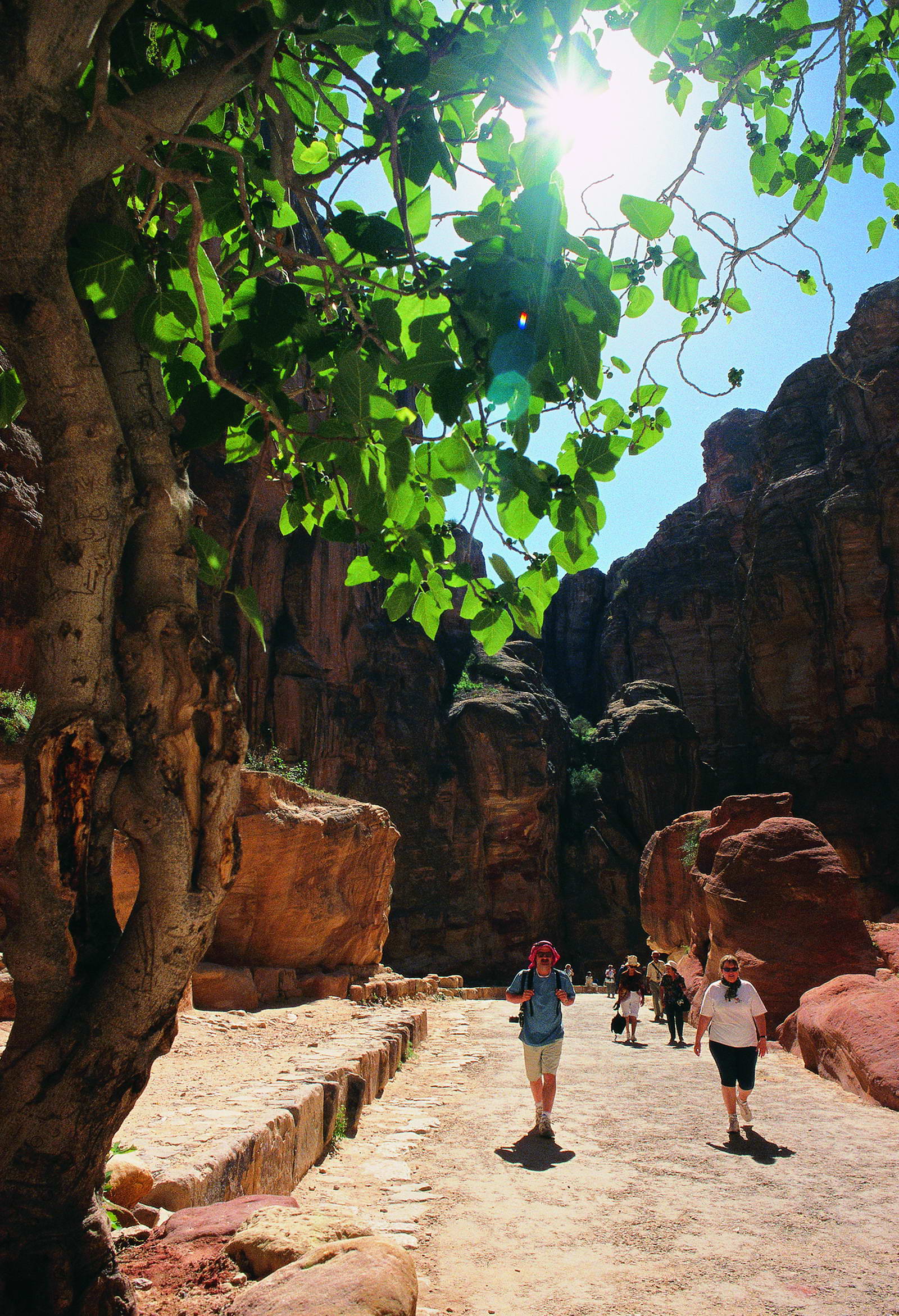 jordan tours petra al siq 305 20170420 1754387761